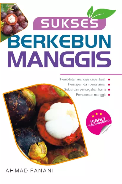 Sukses Berkebun Manggis
