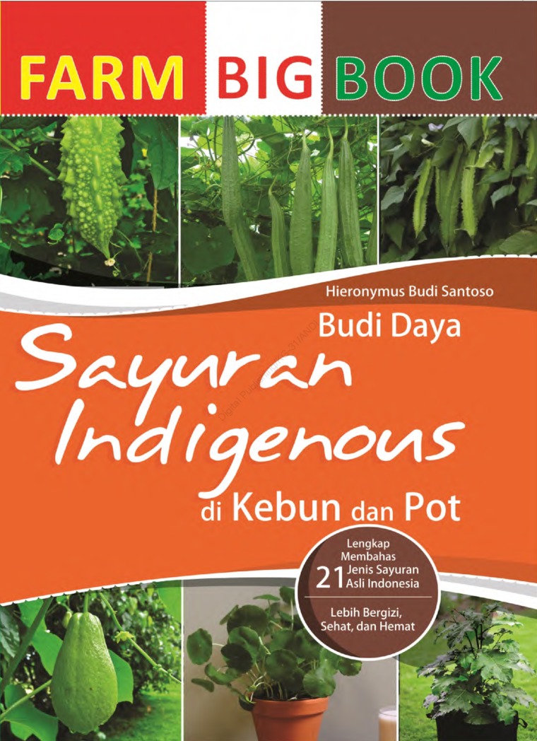 FARM BIG BOOK : Budidaya Sayuran Indigenous di Kebun dan Pot
