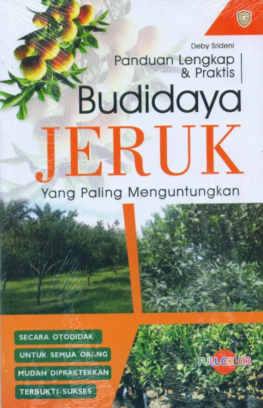 Budidaya Jeruk [Yang Paling Menguntungkan]