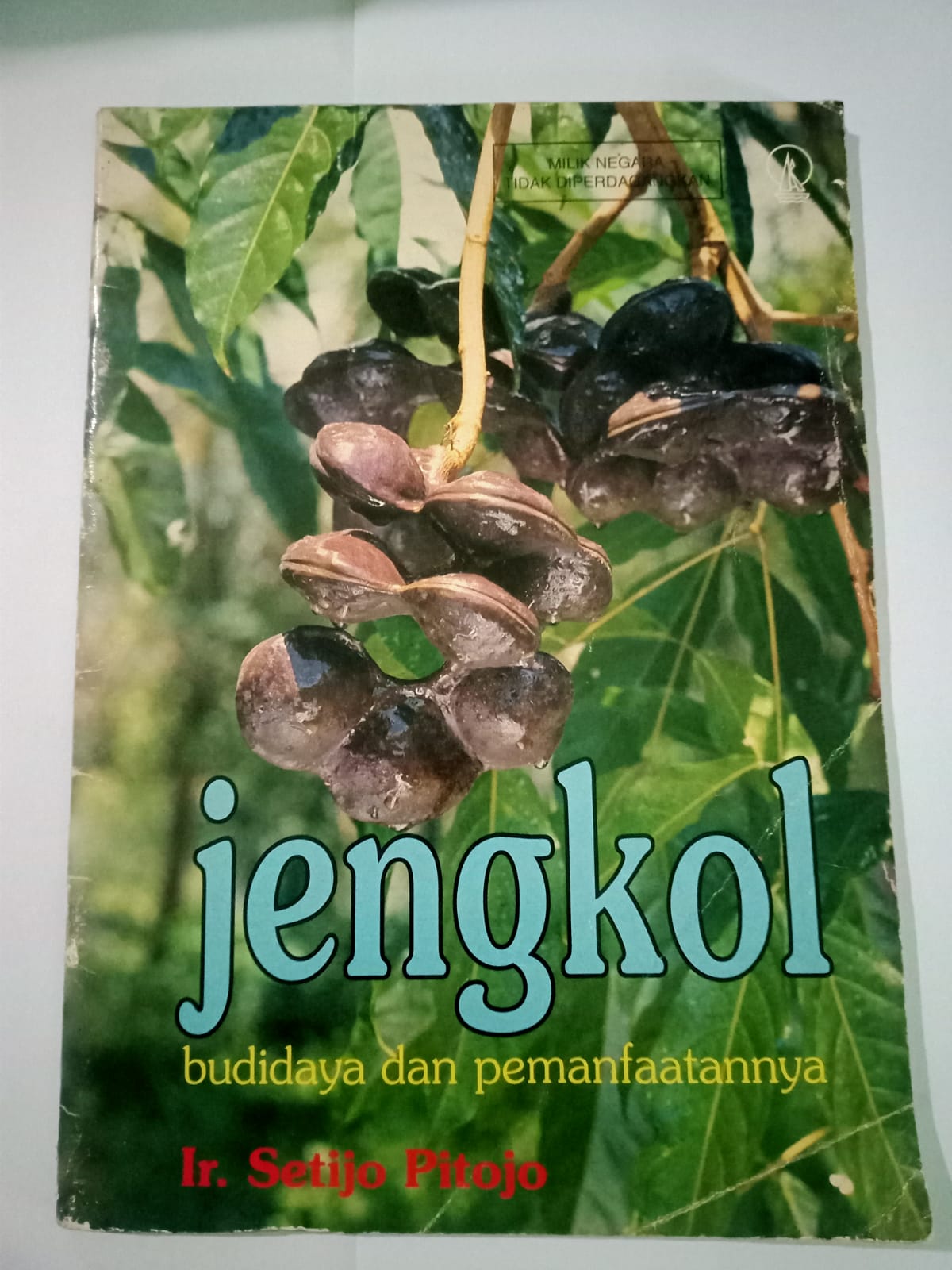 JENGKOL [Budidaya dan Pemanfatannya]