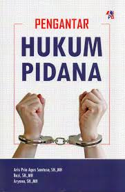 PENGANTAR HUKUM PIDANA